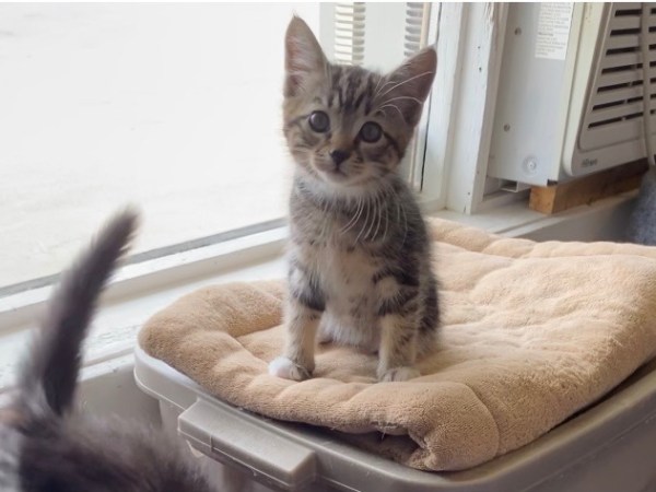 Ari (Me!) finds a home and melts&nbsp;hearts